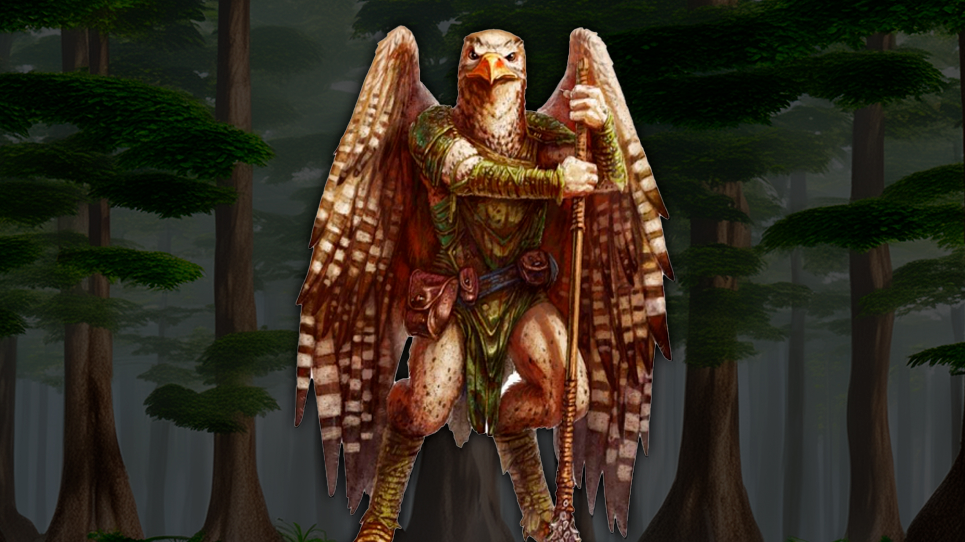 Guia dos Montros (Monster Manual: 2024) – Aarakocra